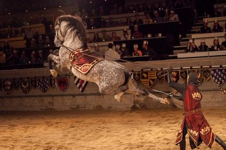 54afbcdc967f834e046179730d2c5251 - copia caballo saltandeo en el show