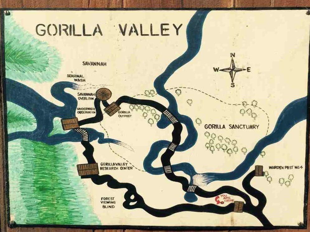 Mapa del Gorilla Forest Exporer