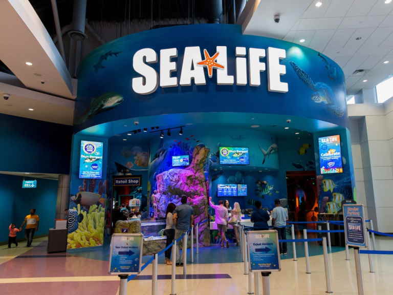 entrada sealife aquarium