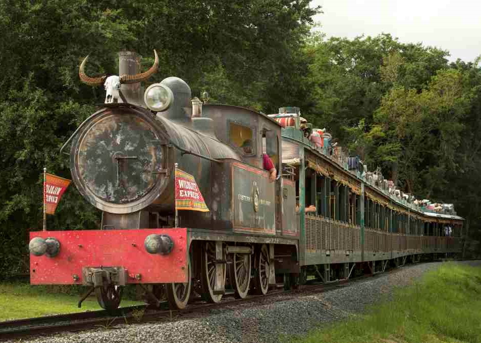 Locomotora antigua del tren wild life