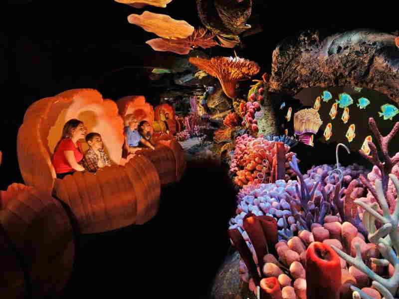 familias arriba de los carros dentro de la atraccion de Nemo y amigos en epcot