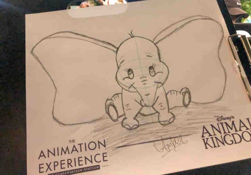 Dumbo dibujado por participante